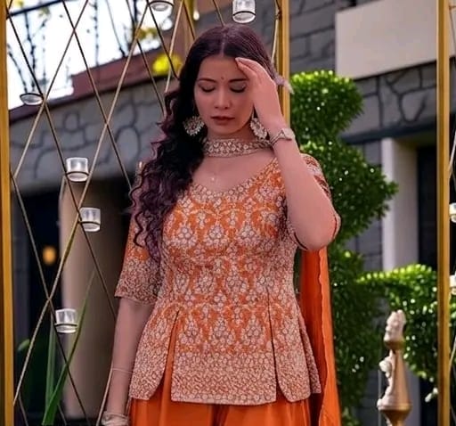 Embroidered anarkali - Image 1